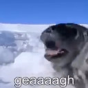 Sea Doggo (Dub) scene still 1
