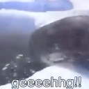 Sea Doggo (Dub) scene still 3