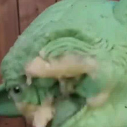 Yoda Eat Banana scene still 3